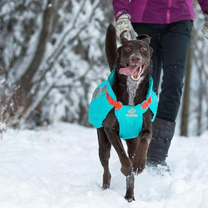 เสื้อโค้ทสำหรับสุนัขลายควิลท์สำหรับฤดูหนาวเสื้อแจ็คเก็ตสัตว์เลี้ยงอบอุ่นมีทุกขนาดออกแบบโลโก้ได้ตามต้องการ - Product Image 2