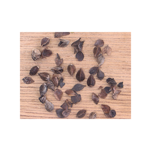 Graines de sarrasin en vrac de haute qualité Grain cru naturel Aliments sains Origine britannique pour la consommation - Product Image 6