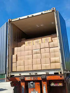 MANGO DESHIDRATADO SNACK SOUR SWEET MANGO CHIP MANGO SUAVE SECO A RUSIA 2024 - Product Image 6