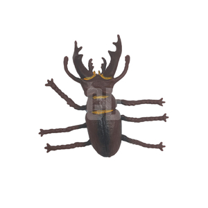 Chu kỳ tăng trưởng Bọ Cánh Cứng, từ trứng nhỏ đến lỗi hùng mạnh! - Product Image 5