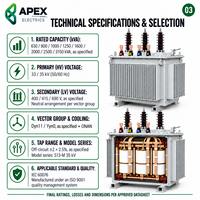 Transformateur de distribution immergé dans l'huile APEX S13-M 630-1600 kVA 33/35 kV/690 V pour postes de transformation industriels IEC 60076