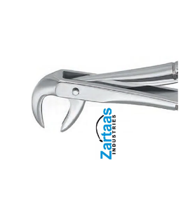 Fórceps de extracción de acero inoxidable de alta calidad molares inferiores Fig 99 exportadores y fabricante - Product Image 4