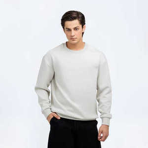 Sweat-shirt à col rond 100% coton personnalisé pour hommes 350gsm pull en polaire vierge tricoté uni à manches longues - Product Image 1