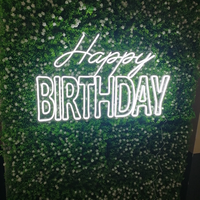 Enseigne néon publicitaire Joyeux Anniversaire, enseigne néon personnalisée pour mariage, enseigne néon flexible LED Monsieur et Madame, enseigne personnalisée avec nom de famille