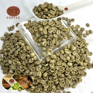 Granos de café verde Arábica vietnamita Premium con proceso seco de madurez 98%, servicio a granel al por mayor, embalaje personalizado - Product Image 1