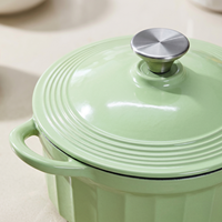 Cocotte en fonte émaillée vert clair à rayures verticales avec couvercle et doubles poignées, idéale pour braiser les soupes