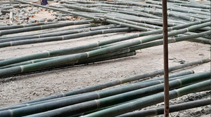 División de bambú en muchos tamaños/colores diferentes División de bambú con muchas aplicaciones en decoración/materiales artesanales - Product Image 3