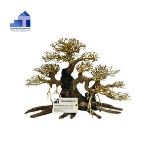 Mejor vendedor hecho a mano con cuidado bonsai acuario bonsai árbol acuario decoración para pieza de arte coleccionable hecho en Vietnam - Product Image 4