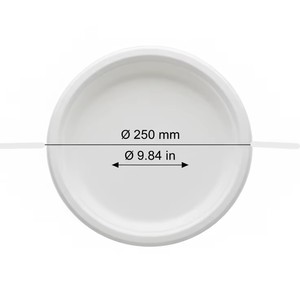 Vajilla desechable de bagazo de caña de azúcar redonda de 10 pulgadas de calidad superior y vajilla ecológica para fiestas - Product Image 1