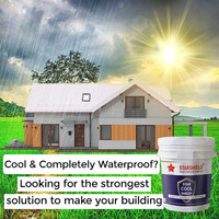 Pintura de Alto Albedo Star Cool Shield Plus para Barcos, con Revestimiento Acrílico y de Goma, con el Más Alto SRI 130, Revestimiento de Ahorro de Energía
