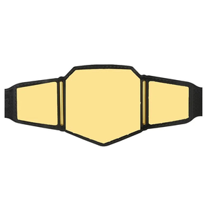 High Quality Custom <b>WWE</b> Heavyweight Championship <b>Belt</b> Designed for Wrestling with Custom Logo for Sale - Product Image 1