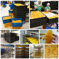 Abrikozen Fruit Knoflookpeper Mango Deshidratador Droger Haw Gember Hete Lucht Droge Machine Voor Chili