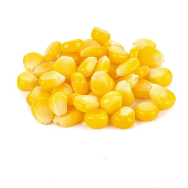 Высококачественная консервированная сладкая кукуруза консервированные кукурузные зерна консервированная кукуруза овощная упаковка по индивидуальному заказу