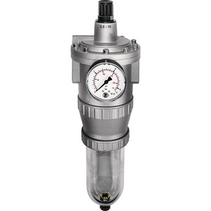 Regulador de Filtro Estándar RIEGLER, Rosca de 19.17 mm, BG III G 1/2, Válvulas Reductoras de Presión de 0.5-10 bar, Caudal de 3000 L/min - Product Image 1