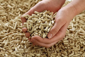 Pellet de madera de alta calidad-100% natural, hecho en Vietnam para uso de carbón y leña | VIET FARGIMEX - Product Image 4