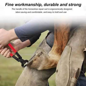 Kit completo de herrador de caballos de grado profesional Entrega rápida de muestras con instrumentos quirúrgicos - Product Image 5