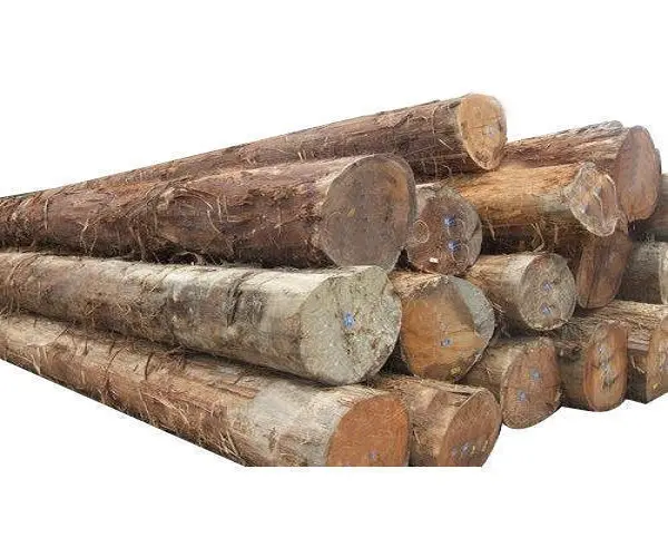 Toras de madeira de alta qualidade - matéria-prima de alta qualidade para impostos baixos - pachyloba, doussie, tali, madeira okan
