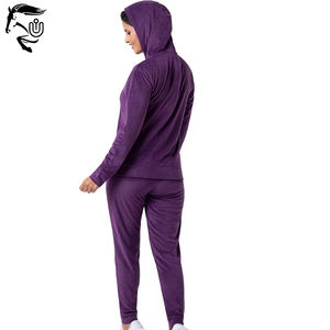 2025 nouvelles femmes décontracté velours violet hiver 2 pièces sweat à capuche zippé respirant motif solide grande taille 2 pièces survêtement pour - Product Image 2