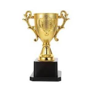 Custom <b>Metal</b> Cricket Trophy Cup for Championship Award Memorial Display - Product Image 1