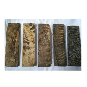 Cuerno de Carnero Natural Premium, Material Artesanal Hecho a Mano, Pieza Decorativa Rústica para Interiores del Hogar y Exhibición - Product Image 3