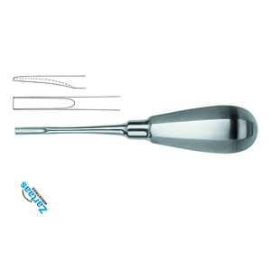 Elevador de Raíces de Dientes de Acero Inoxidable de Alta Calidad, Recto, Figura 2, Ancho 4.0 mm, Fabricante y Exportador de Instrumentos Dentales - Product Image 4