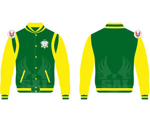 Veste universitaire personnalisée en gros brodée Chi Eta Phi Sorority, style color block, vêtements de sororité, accessoires grecs - Product Image 4