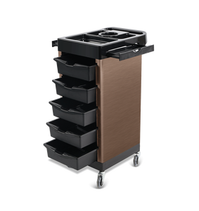 पेशेवर सैलून ट्रॉली पहियों हेयरड्रेसिंग ब्यूटी सैलून उपकरण - Product Image 6