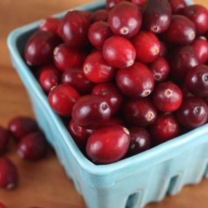 ผลแครนเบอร์รี่ 950 กก. ขายส่ง ความสุก 85%-95% ขนาด 10-20 มม. เกรด แครนเบอร์รี่สด แหล่งผลิตสหราชอาณาจักร - Product Image 2