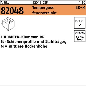 Terminal de Abrazadera R 82048 GTW 40 BR 20/10.0 Hierro Fundido Maleable Galvanizado en Caliente 1 Pieza LINDAPTER - Product Image 1