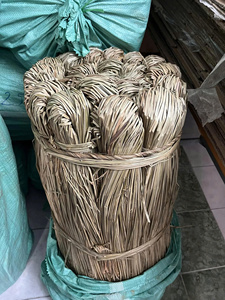 Eco Friendly Natural Seagrass Raw Material For Handmade Crafts And Interior Decoration - Product Image 1
