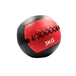 Customize Logo All Weather <b>Wall</b> <b>Ball</b> GAA Hurling <b>Balls</b> All Weather Mounted Sports <b>Wall</b> <b>Ball</b> PU Plastic Hurling for Sports - Product Image 5