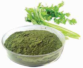 ผงขึ้นฉ่ายวีแกนที่ทำจากใบขึ้นฉ่ายแห้งเพื่อสุขภาพของระบบภูมิคุ้มกันและการสนับสนุนการทำความสะอาดตามธรรมชาติ - Product Image 4