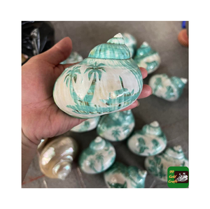 Coquillages Turbo Burgess de qualité supérieure triés sur le volet et polis pour l'artisanat de l'eau Tailles et styles assortis du Vietnam - Product Image 3
