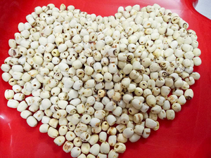 Origen de Vietnam, semilla de loto seca, auténtico ingrediente natural para la producción internacional de aperitivos al por mayor y la industria de postres - Product Image 4