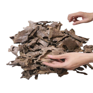 Découvrez les propriétés concentrantes de l'Oud pur. - Product Image 6