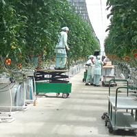 Promotion : Chariot électrique télécommandé pour câbles métalliques, capacité 0,5 tonne, pour serres agricoles, culture de tomates et légumes 2