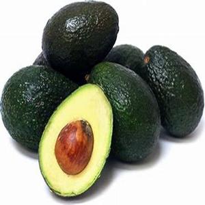 Exportateur de Hass Avocado Variété fraîchement cultivée à bas prix - Product Image 1