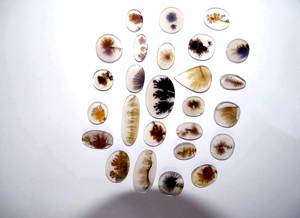 A-One Quality 100% Natural Quartz Loose Shazar Gemstone Smooth Cabochon para Joyería exclusiva Play Fire Producto exclusivo - Product Image 2