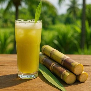 Jugo de Caña de Azúcar Enlatado con Kumquat en Lata, Bebida Tropical Natural con Sabor Fresco - Product Image 1