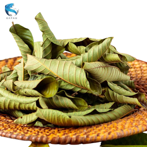 Hojas de Guayaba Naturales Secas, Materia Prima para la Industria de Bebidas - Product Image 1