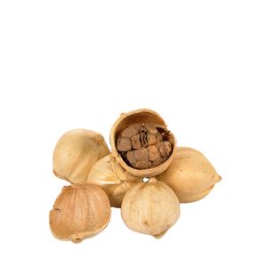 Cardamomo Blanco Orgánico Indonesio de Alta Calidad, Producto Agrícola Premium, Precios Competitivos, Proveedor Mayorista para Pedidos al por Mayor - Product Image 3