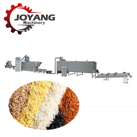 Ligne de production d'extrusion de riz nutritionnel personnalisable et automatisée pour usine alimentaire