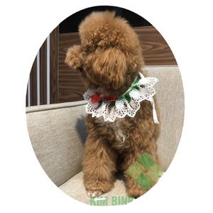 Brand-New 100% Coton Pet Choker pour Chiens Vietnam Glow Frill Collier D'été Facile À Porter Au Quotidien Lavable Expédition Internationale - Product Image 1