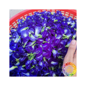 Fresh Dried Blue <b>Butterfly</b> Pea Flower Blooming <b>Tea</b> With Rich Taste Perfect for Culinary Dishes Desserts and Drink Recipes - Product Image 6