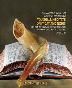 ที่มีคุณภาพสูงขัด RAM shofar งานฝีมือธรรมชาติสำหรับบูชาและโอกาสเทศกาล - Product Image 4