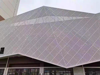 Panneau solide en aluminium perforé à trous irréguliers de conception moderne, revêtu de PVDF pour revêtement de façade
