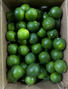 สีเขียวมะนาวต้นกำเนิดเวียดนามราคาดีพร้อมส่งมะนาวสดไร้เมล็ด/คุณลูซินด้า - Product Image 4