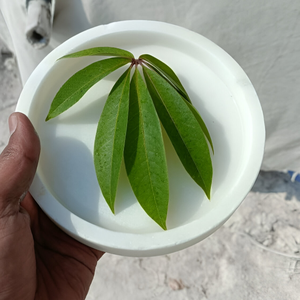 Plateau de service en marbre naturel fait à la main, plateau de luxe au design moderne unique pour la cuisine, le restaurant, la fête, la vente en gros - Product Image 4