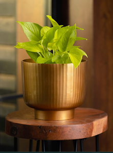 Maceta de flores de metal de alta calidad para la decoración de la boda del jardín del hogar de la Oficina en precio bajo - Product Image 4