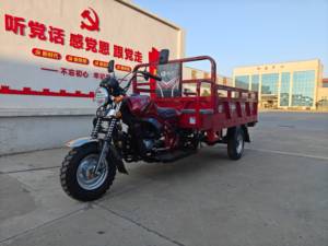 2025 Triciclo inverso de cuerpo abierto Motocicletas de carga de tres ruedas para uso agrícola doméstico Motorizado de tres ruedas - Product Image 2